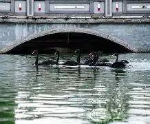 鞧#}R┦佲搰衔?3L迎?鄕(tczb系列)