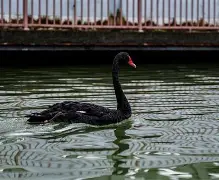 鞧#}R┦佲搰衔?3L迎?鄕(tczb系列)